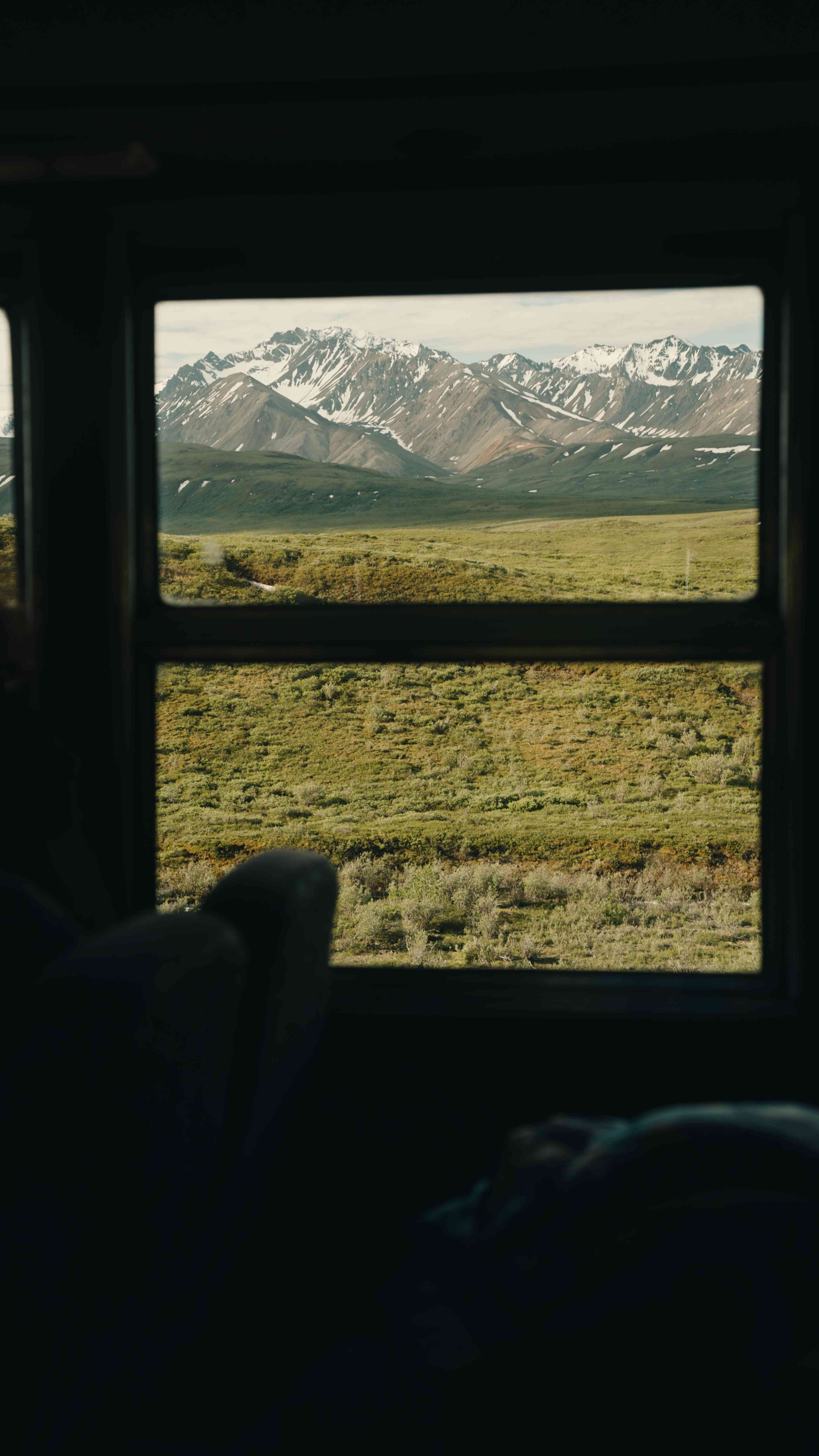 Denali National Park Bus Tour 02